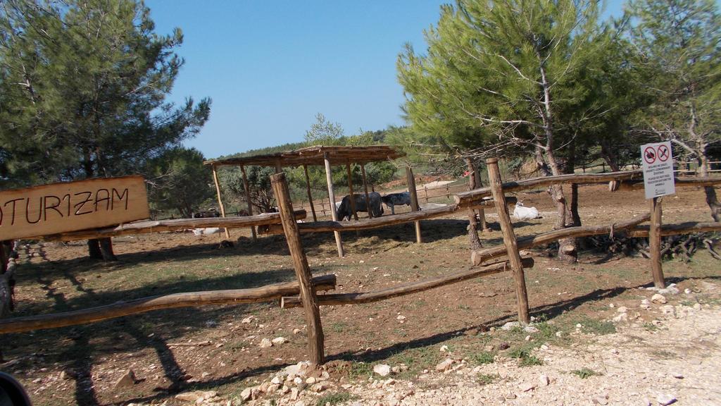 Guest House Accommodation Rupine Premantura Esterno foto