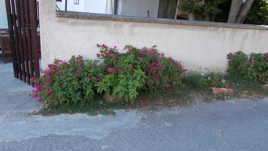 Guest House Accommodation Rupine Premantura Esterno foto